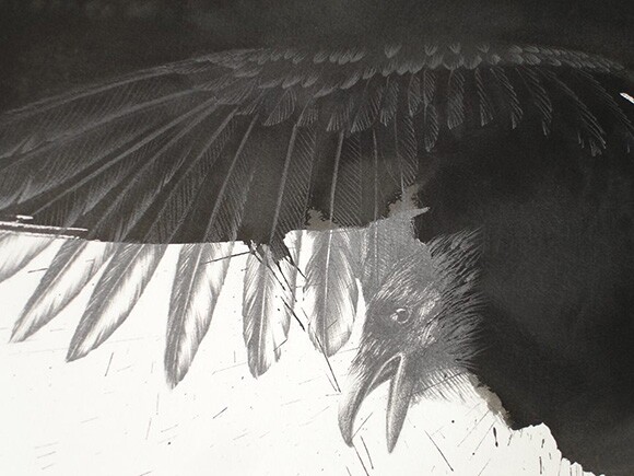 "Raven for PN" (detail), by Joanne Julian, 2010, graphite and ink on Arches paper, 42x30" | Image courtesy of the artist