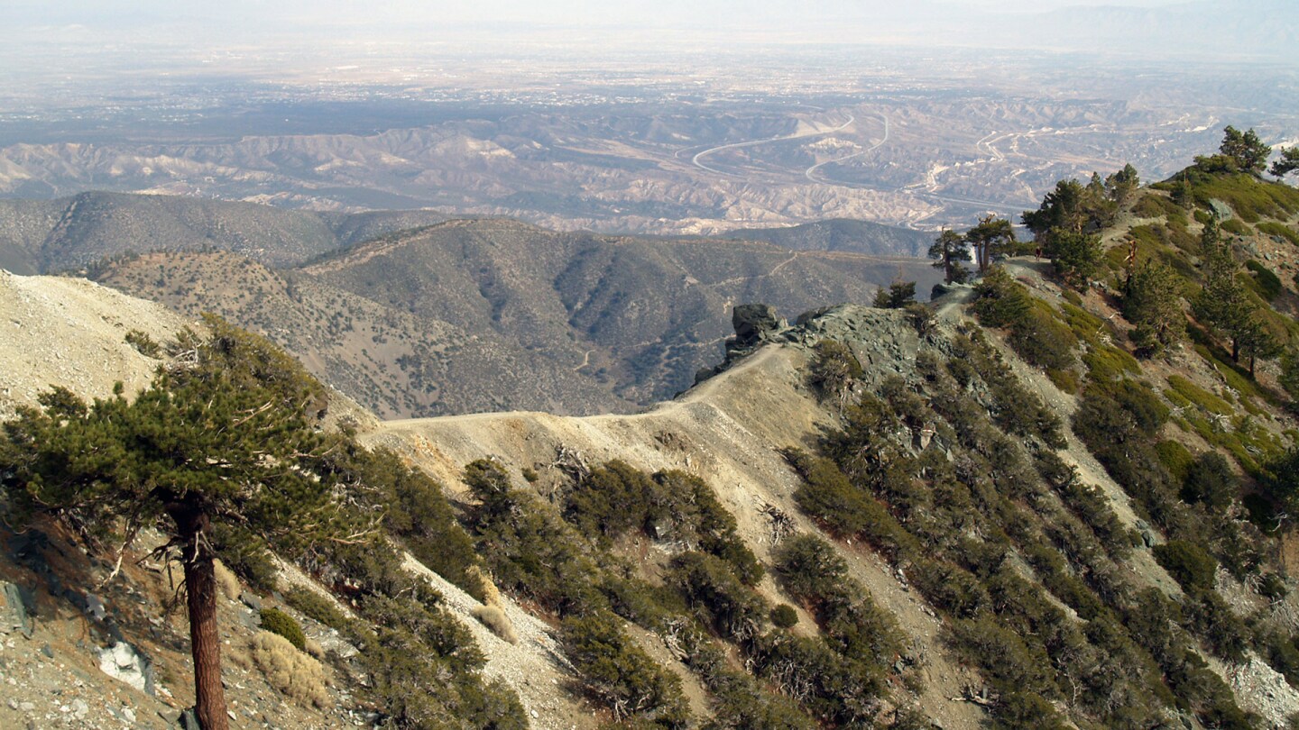 Devil's Backbone