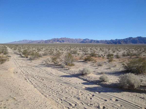 desert-landscape-carbon-4-7-14-thumb-600x450-71719