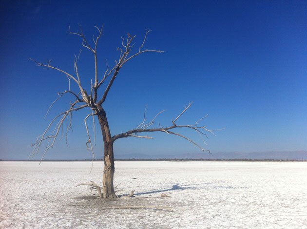 red-hill-bay2-1-27-15-thumb-630x470-87051