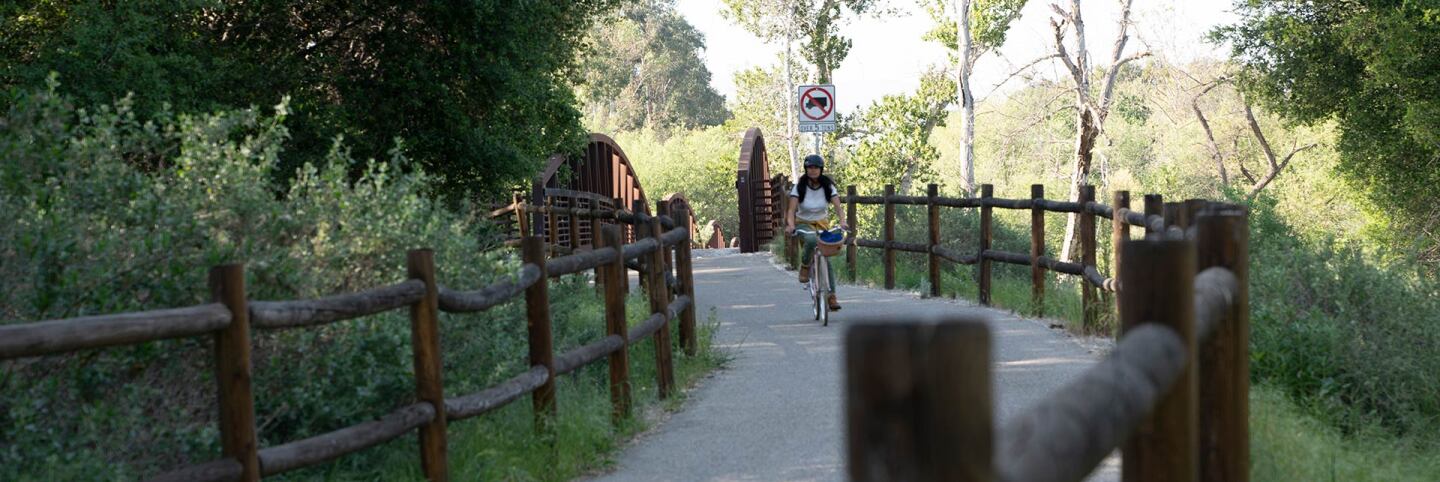 rosey on ojai bike path