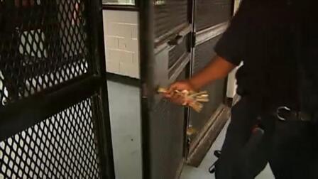 NEW YORK’S PRISON PIPELINE