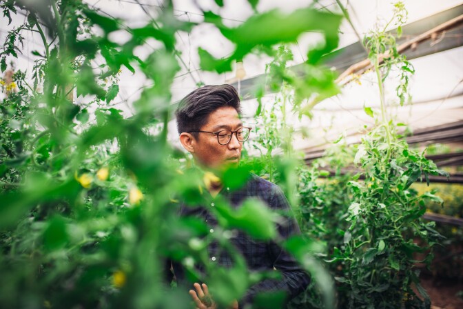 A man of Korean descent stands amid rows of tall leafy green produce. His graying black hair is combed to one side and he's wearing brown-framed glasses. He's wearing a dark blue and green plaid button-up shirt and looks to the side. The leafy produce in the foreground perfectly frame his face.