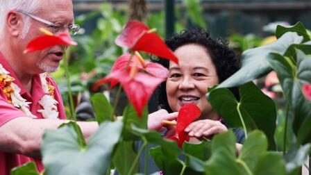 Flowers of Hawai’i