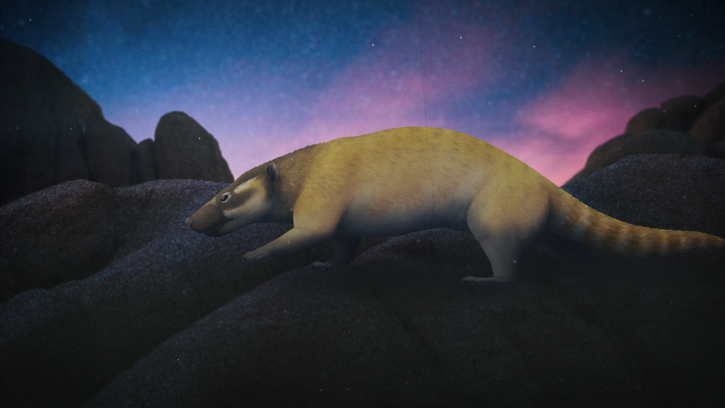 When Mammals Only Went Out At Night