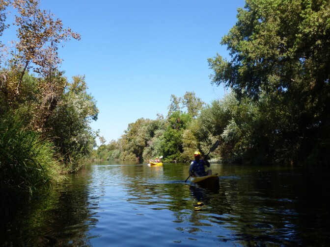The Los Angeles River (1)
