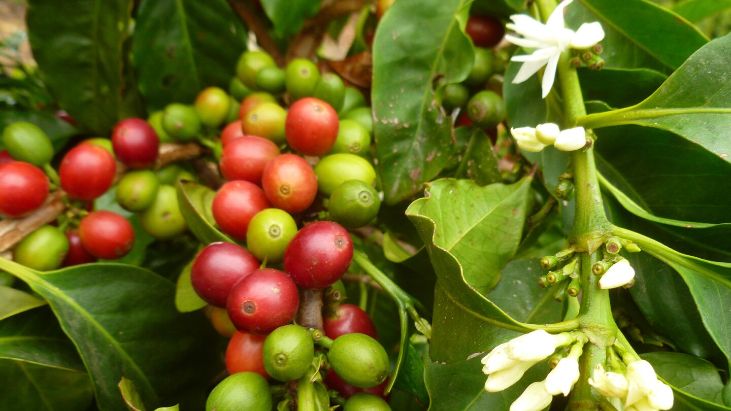 good land organics