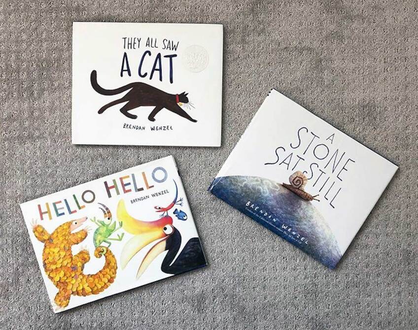 Three book covers featuring cartoon animals and a stone.