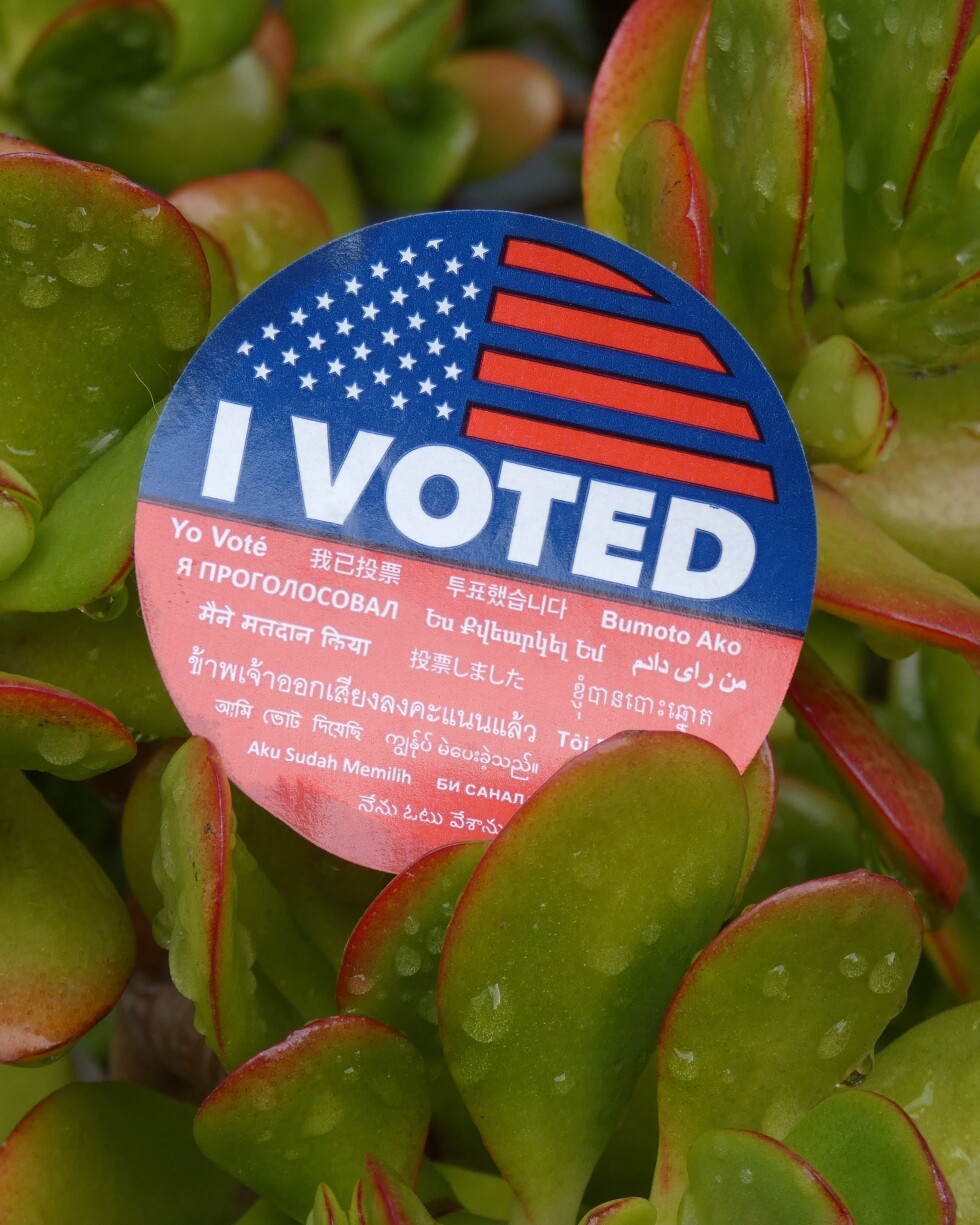 A green, dewy succulent plant with red edges wears a round, red and blue sticker that reads  "I VOTED" in white typeface in multiple languages