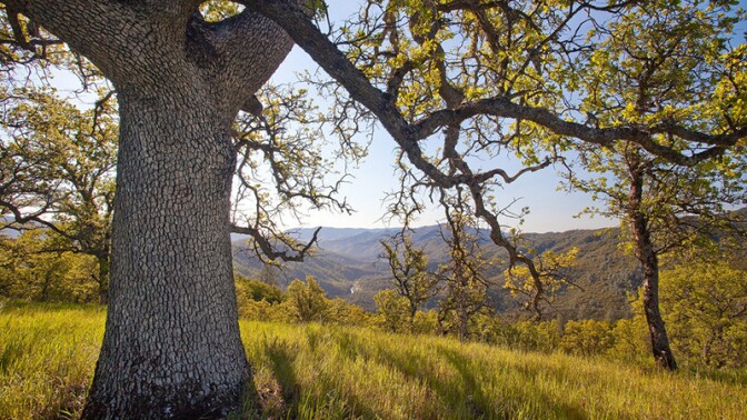 Berryessa Snow Mountain National Monument | Photo: Bob Wick/BLM