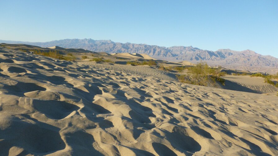 mesquite sand dunes