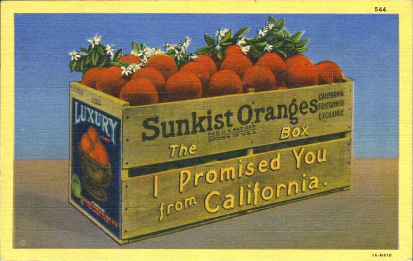 sunskist-oranges-kcet.jpg