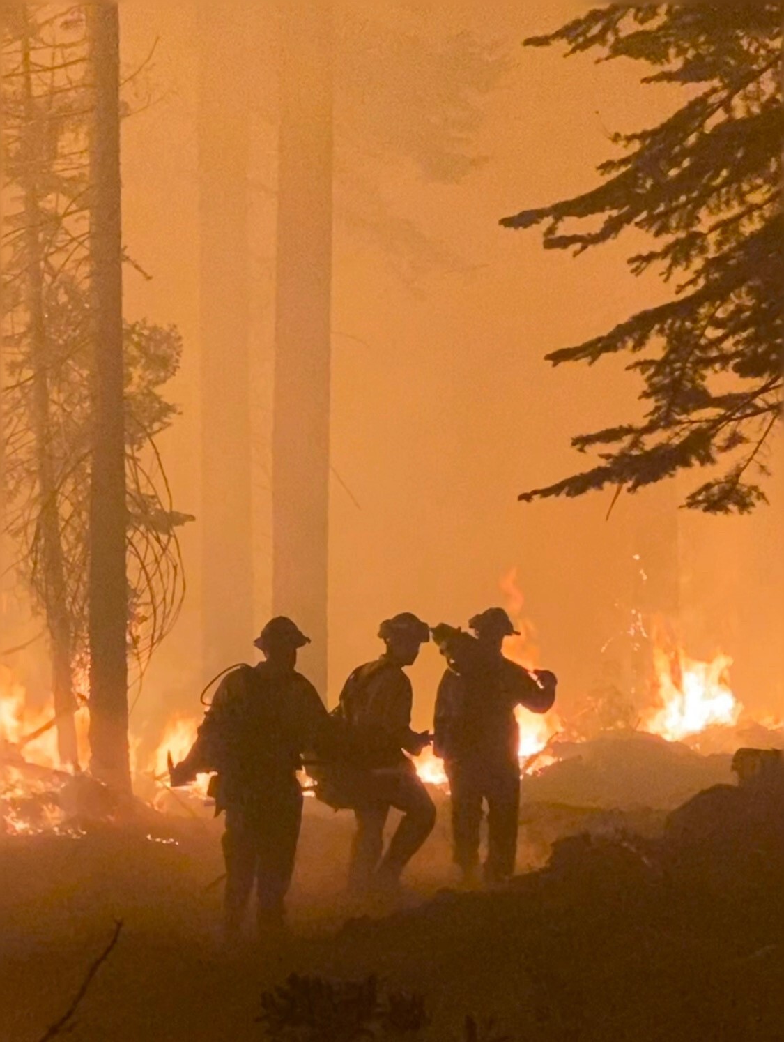three firefighters standing by blazes in a burning forest