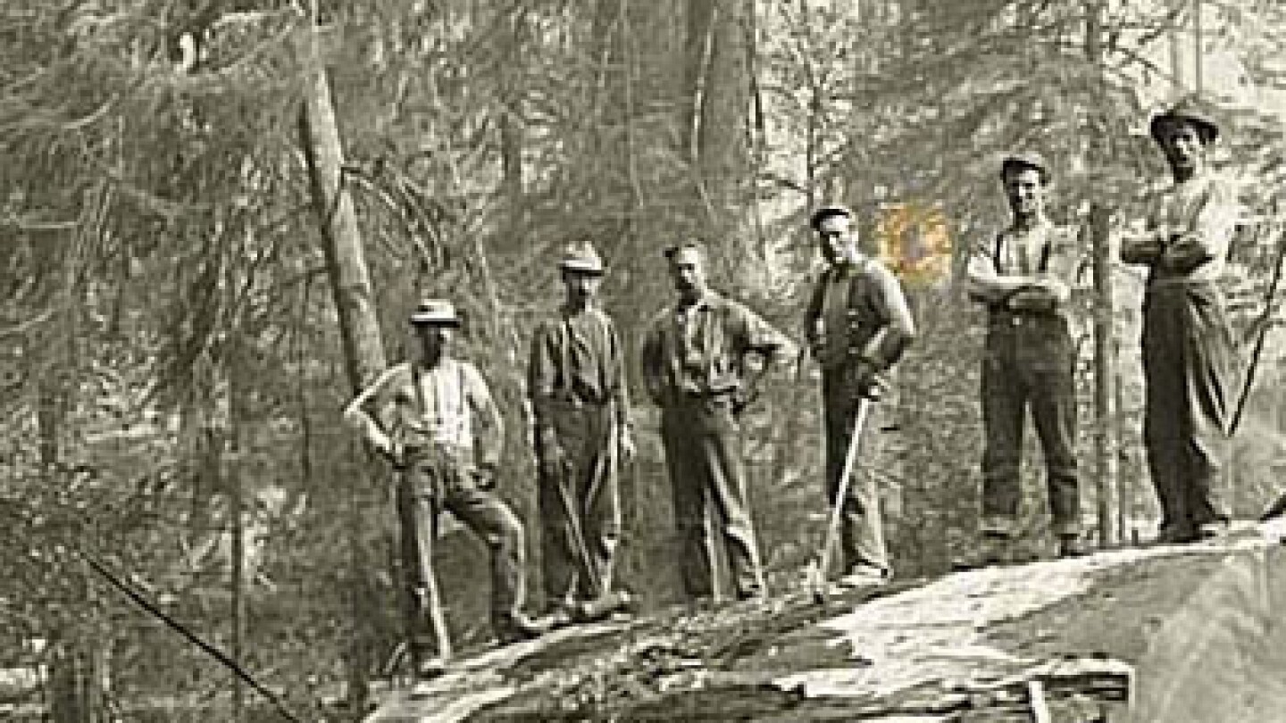 Loggers standing atop a massive, felled Redwood tree