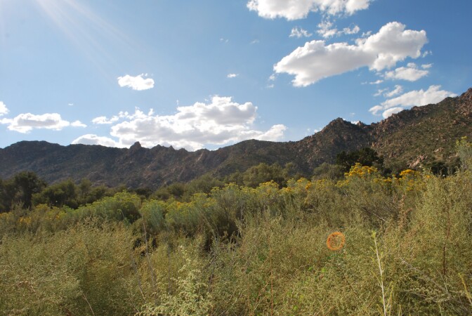 caruthers-canyon-3-4-16.jpg