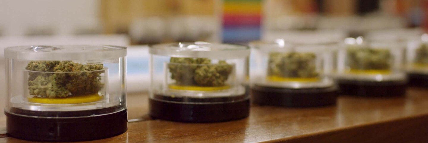 Commercial marijuana | Still from "Broken Bread" Cannabis