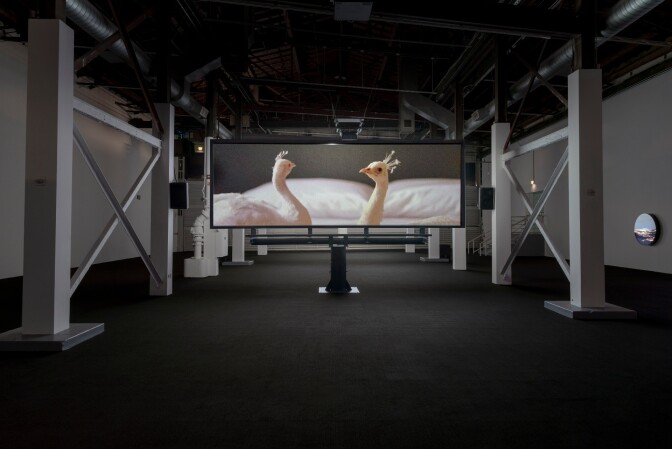 Doug Aitken, "Electric Earth" at MOCA. | Photo: Joshua White