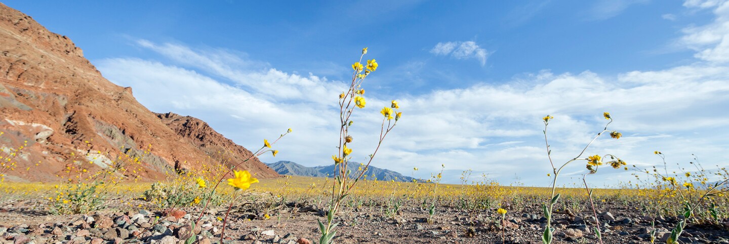 Death Valley