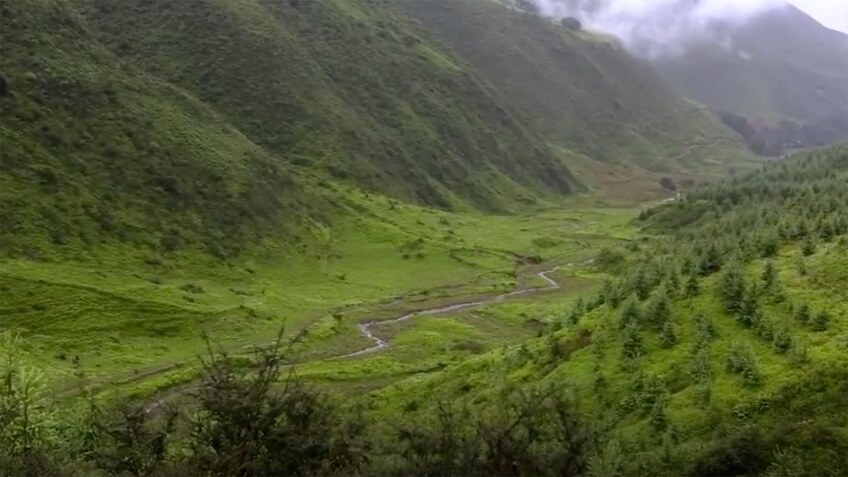 A mountain road surrounded by green grass and trees.