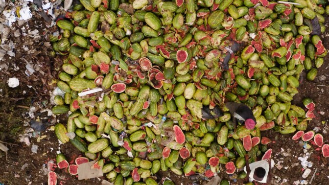 A field full of broken watermelons. | Still from "Broken Bread"