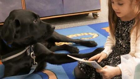 Service Dog in the Classroom