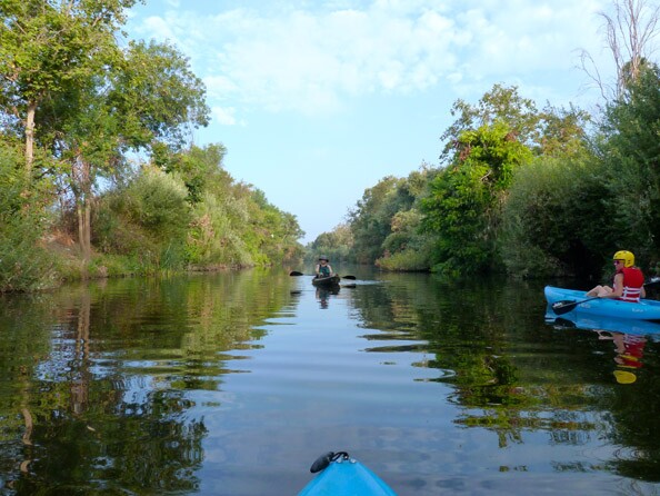 The pilot program leads kayakers through the a section of river in Sepulveda Basin