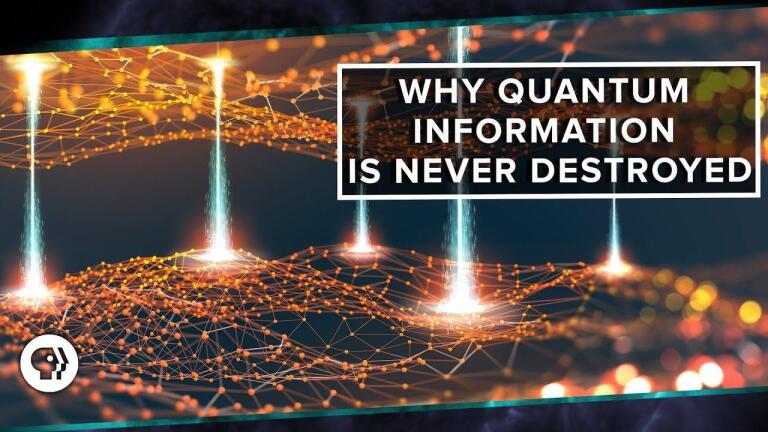 Why Quantum Information is Never Destroyed