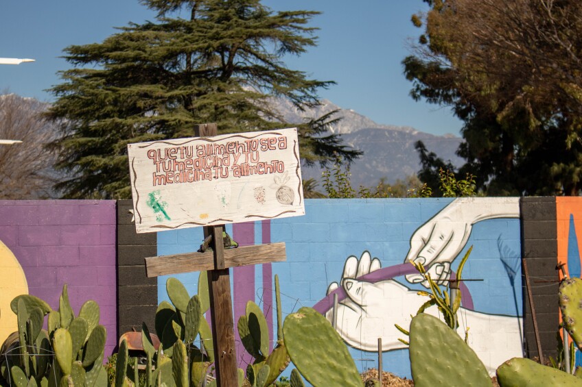 A hand painted sign at Huerta del Valle reads, "Que tu alimento sea tu medicina y tu medicina sea tu alimento," which translates to, "May your food be your medicine and your medicine be your food." The sign is made out of wood and is mounted on a wooden stake. Below, cacti grow in the earth. Behind the sign is a colorful mural wall and beyond the wall is a tall mountain and trees.