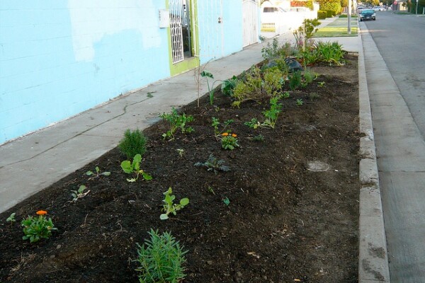 parkwaygardenron