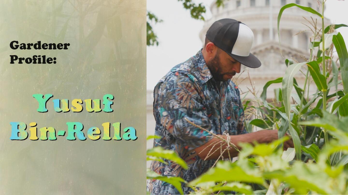 Gardener Profile: Yusef Bin-Rella