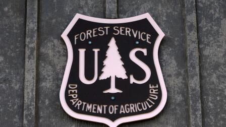 U.S. Forest Service cuts raise concerns about public lands
