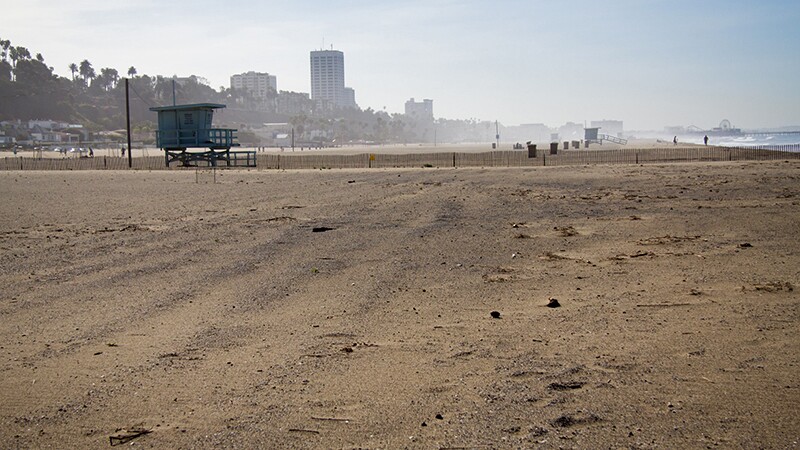 Looking southward across the restoration area | Photo; Jason Goldman