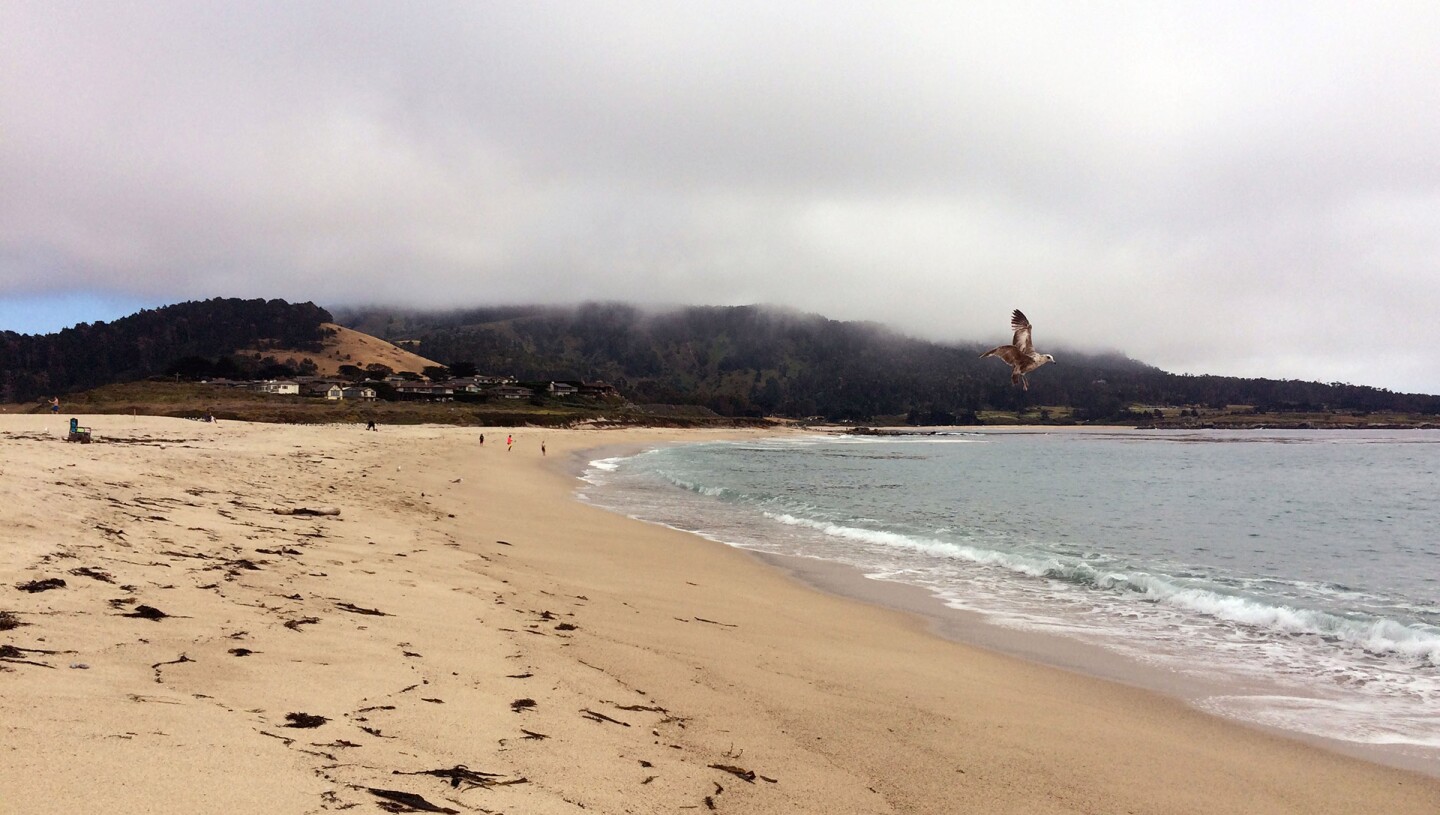 carmel beach ca