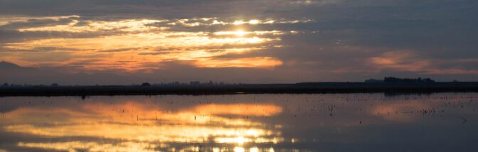 delta-sunset-banner.jpg