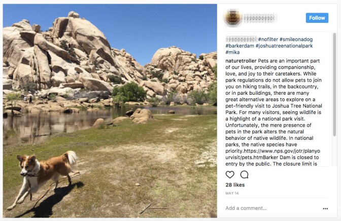 Despite its name, Barker Dam at Joshua Tree is off-limits to all dogs, even on leash. | Image: via Instagram