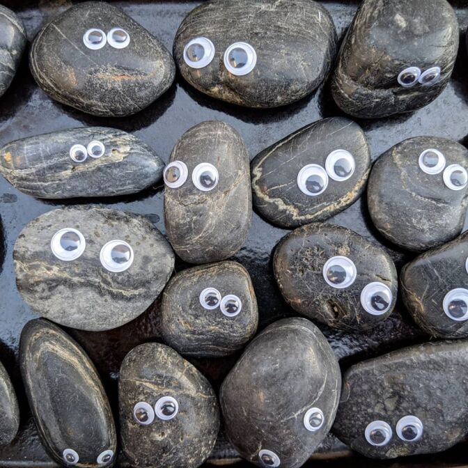 A group of Dwayne rocks from the Tiny Museum | Courtesy of Tiny Museum