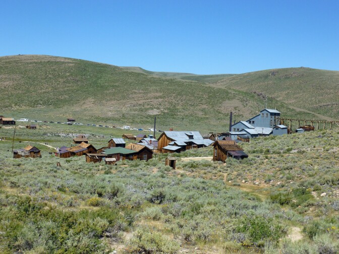 Bodie