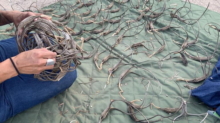Cara Romero on Chemehuevi baskets
