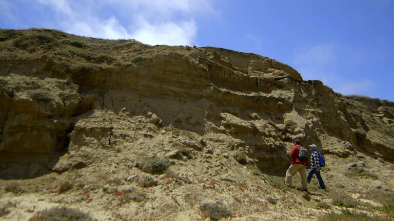 Earliest Human Remains