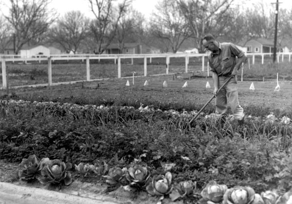 Small farm homesteader in El Monte, ca. 1936