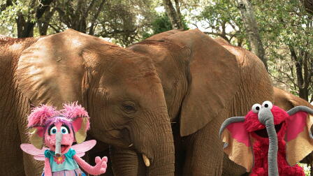 Sesame Street and the Great Elephant Adventure