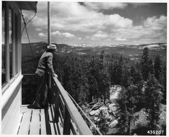 Man looks out into forest from a fire lookout tower.