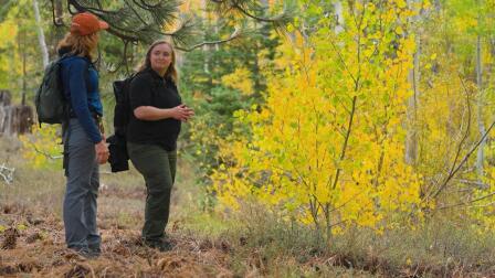Episode 813: Fall Color Tour