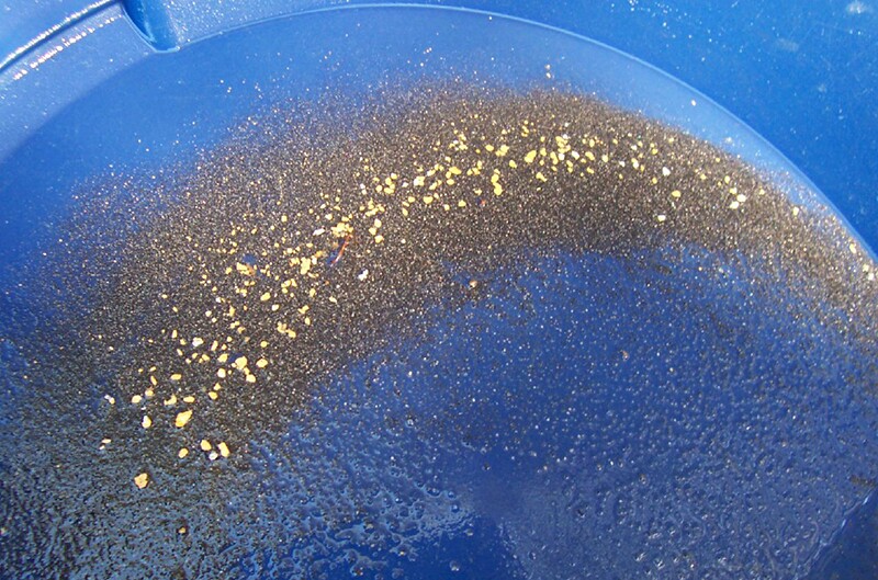 gold-pan-9-1-16.jpg