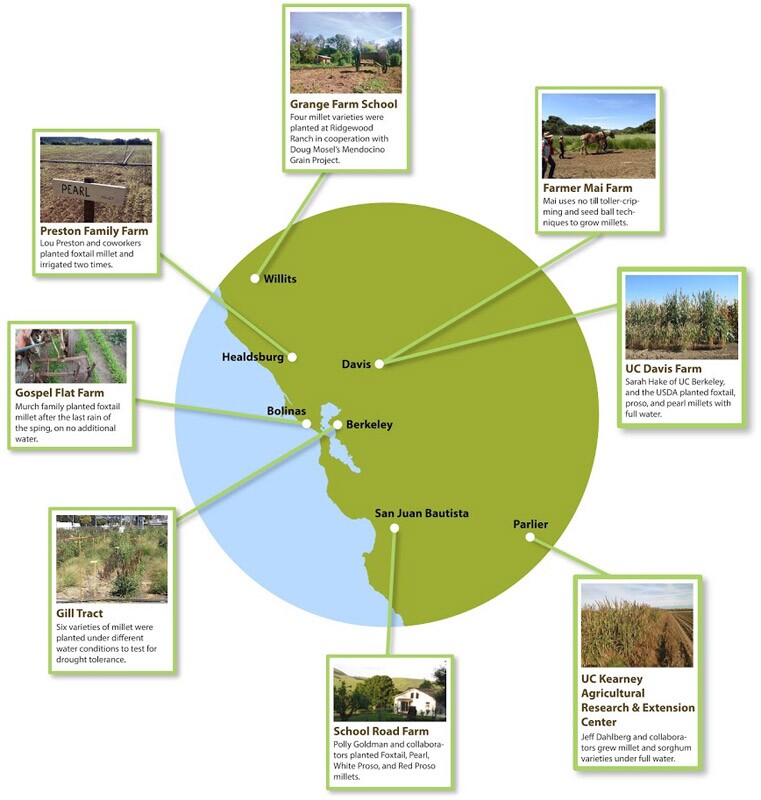 Millet Map
