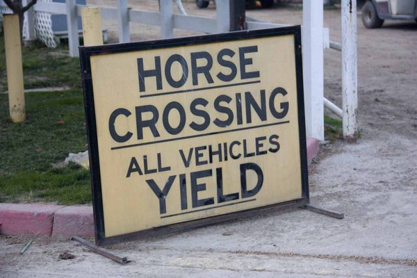 Horses are given special consideration in this part of the city.