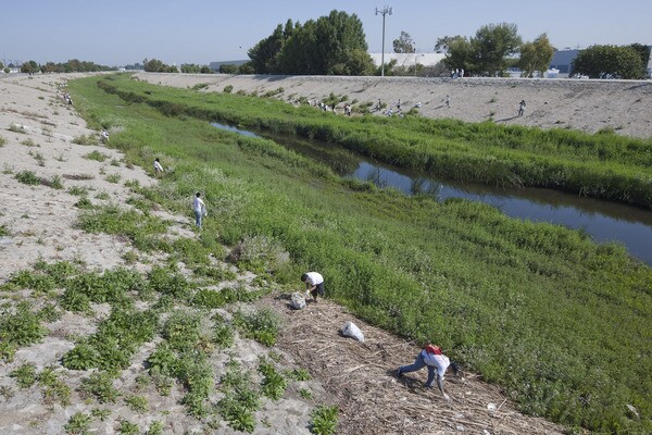 Compton Creek at Del Amo Blvd. Photo by Brian Minami.