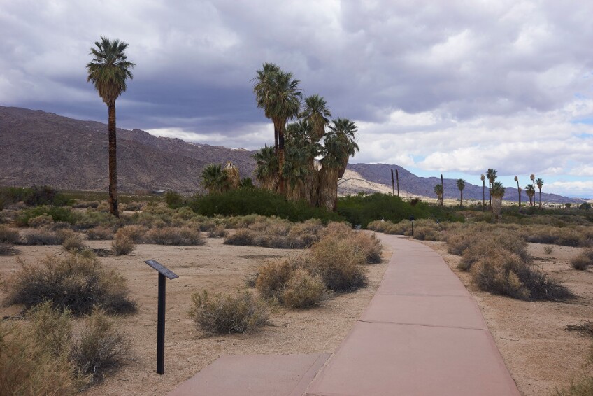 Lewis deSoto Carlota art installation in Joshua Tree