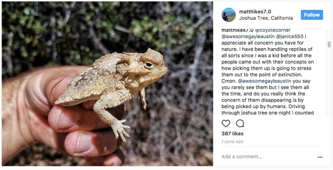 Instagram user claims his documented harassment of Park wildlife is no big deal | Image: via Instagram