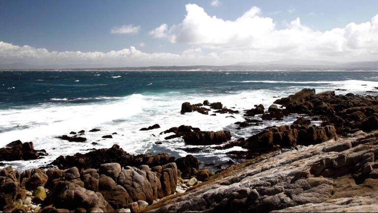 California Coast: Within Sight, Scent & Sound of the Ocean